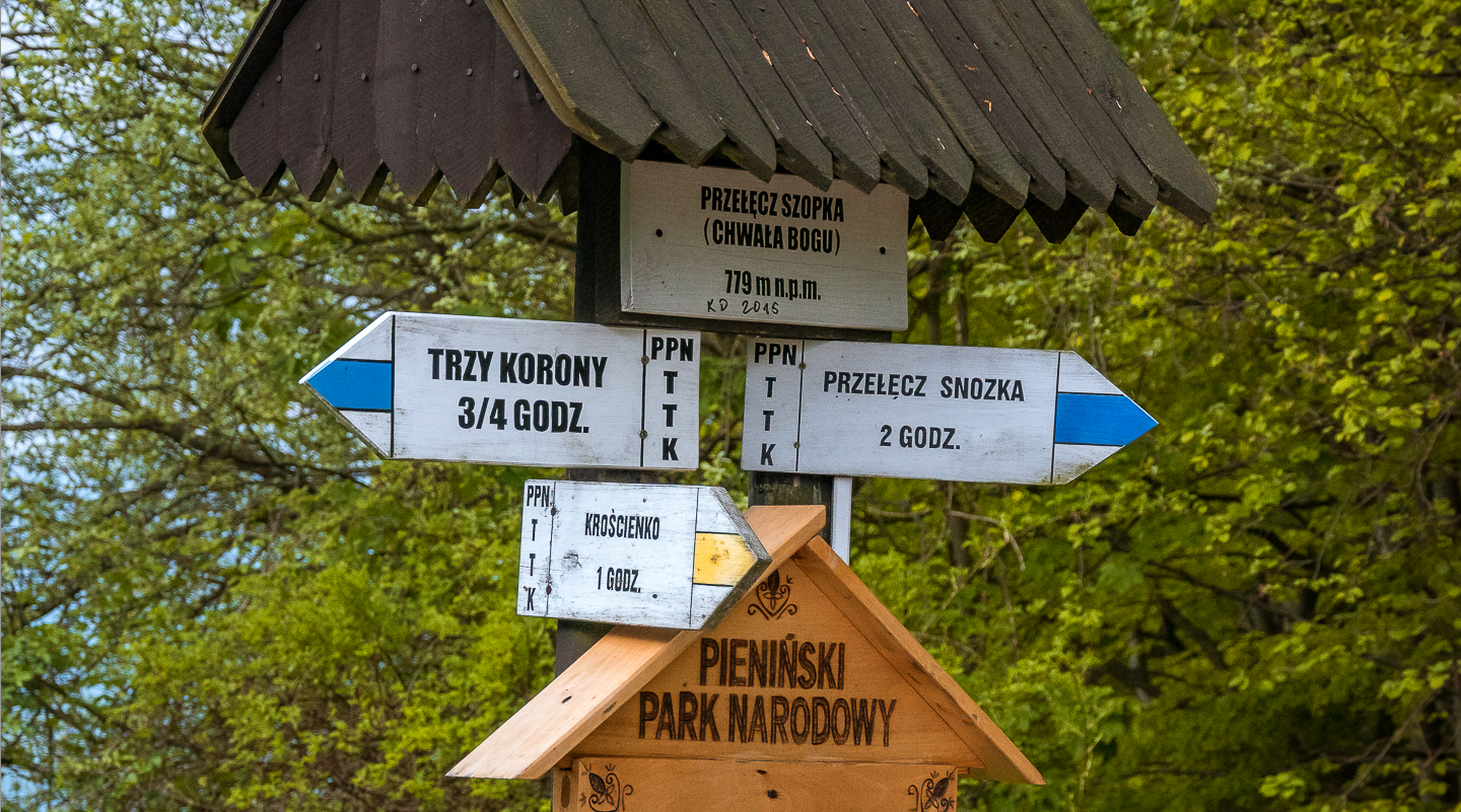 Oznaczenia szlaków turystycznych w Polsce, co znaczą kolory szlaków pieszych